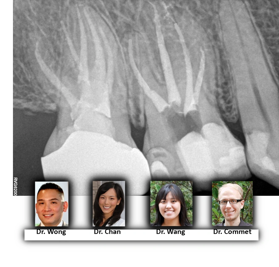 dental-anatomy-1