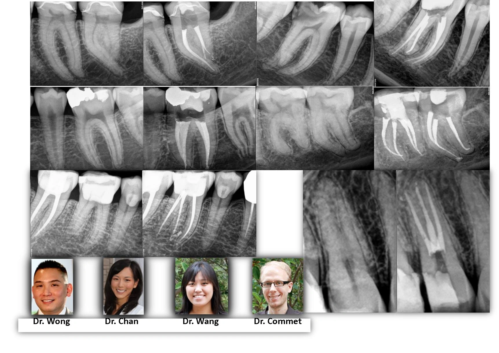 dental-anatomy
