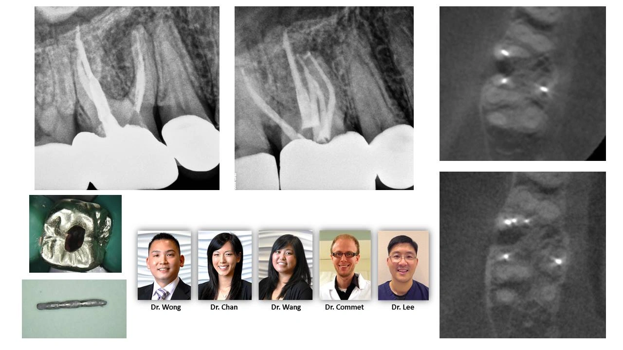 dental-anatomy