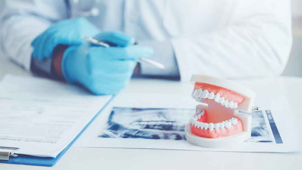 Dentist reviewing patient records with a dental model and X-ray