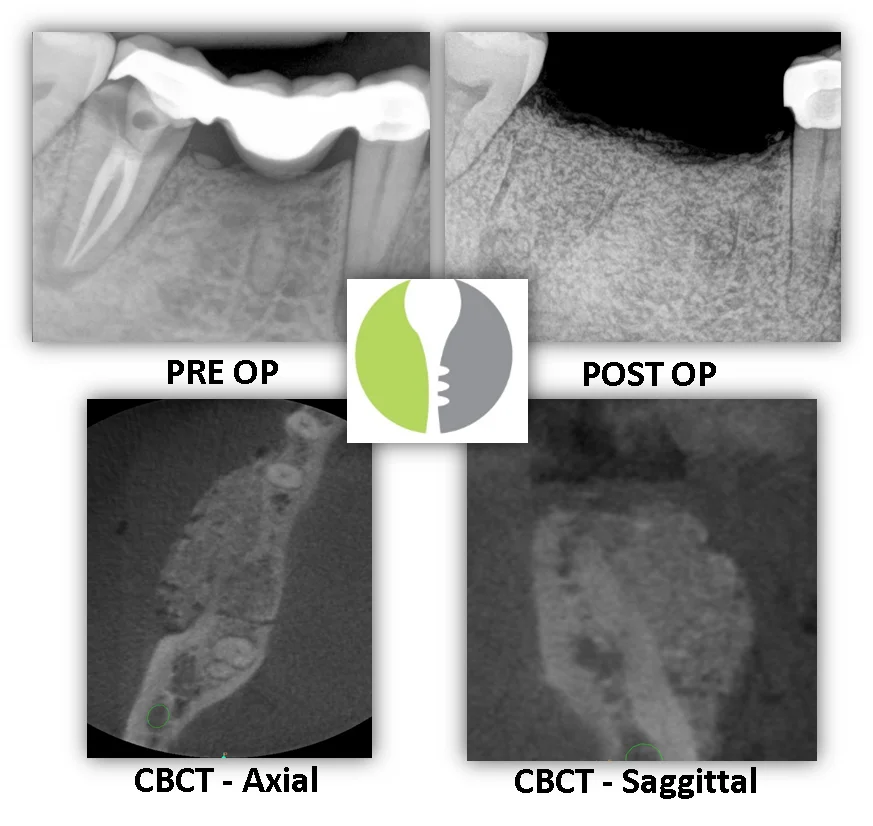 LAST-CASE-OF-THE-WEEK-image