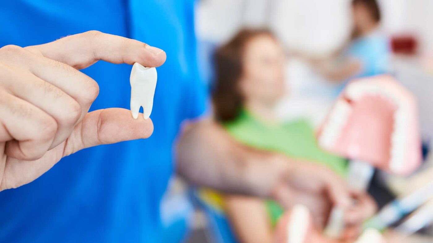 A close-up of a dentist holding a tooth model in a clinic setting