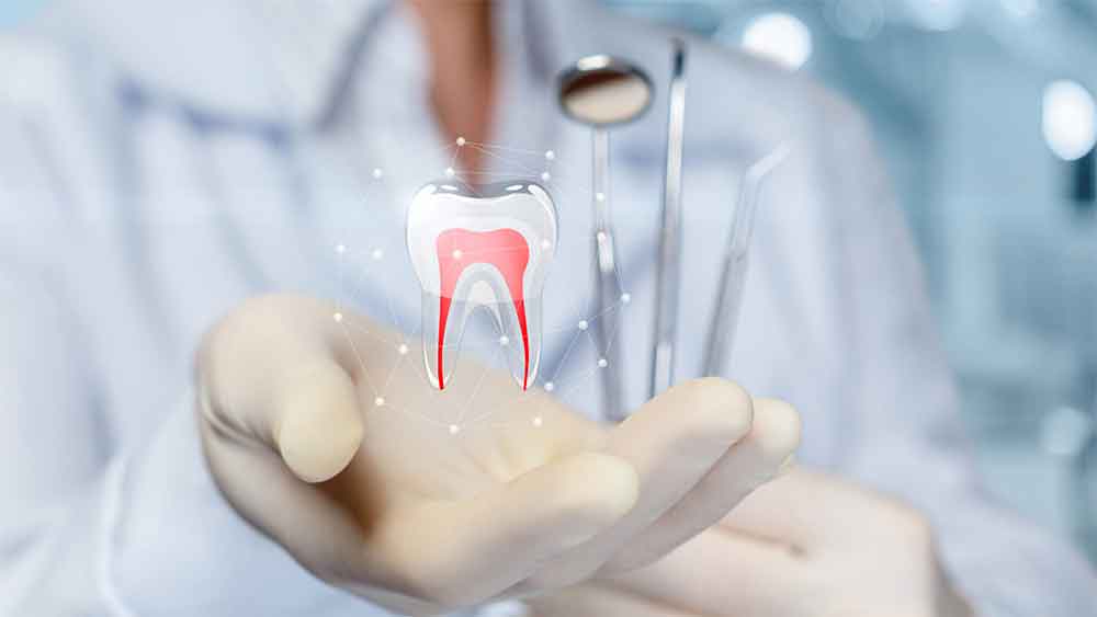 Dentist holding a digital tooth illustration with dental tools