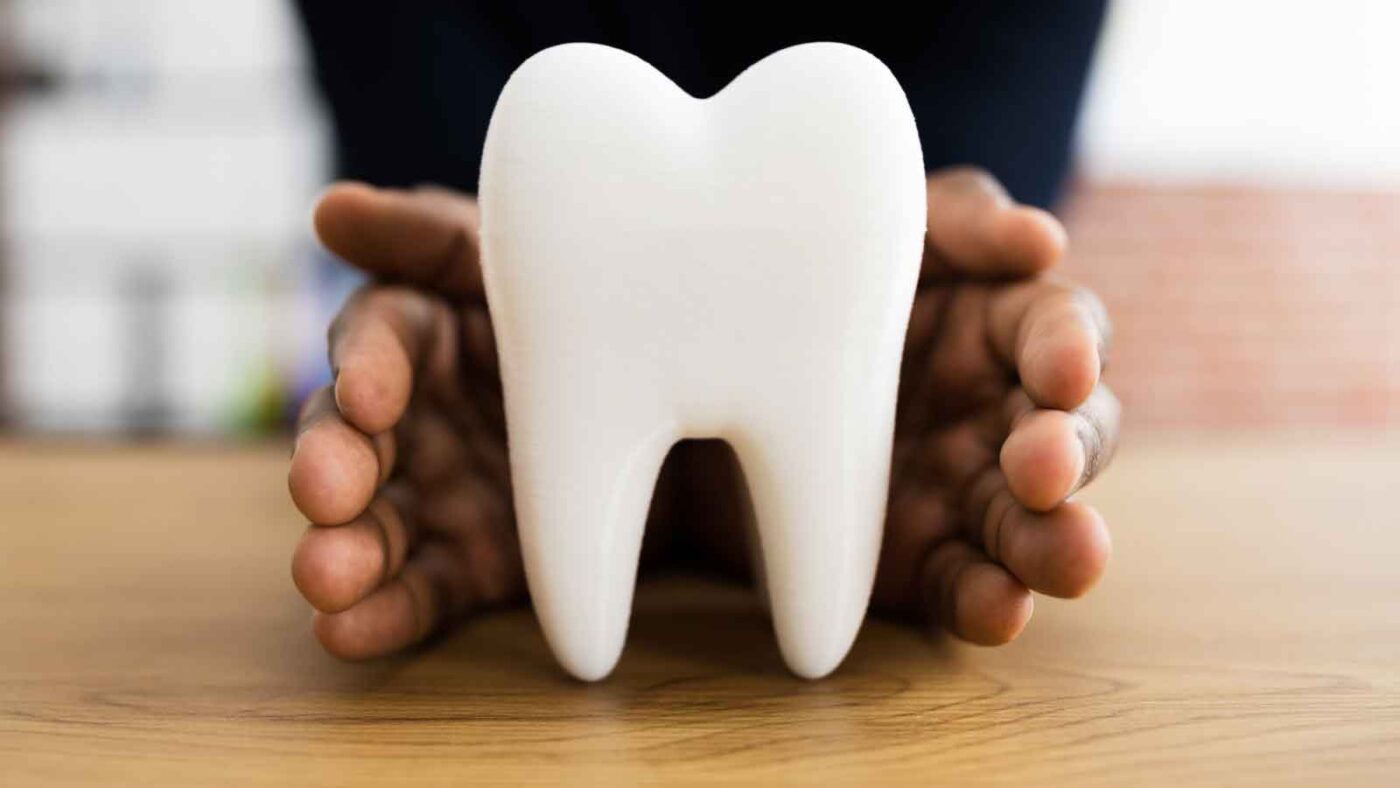 Person holding a large white tooth model.